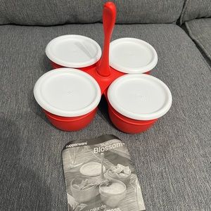 NEW Tupperware Blossom Condiment Server